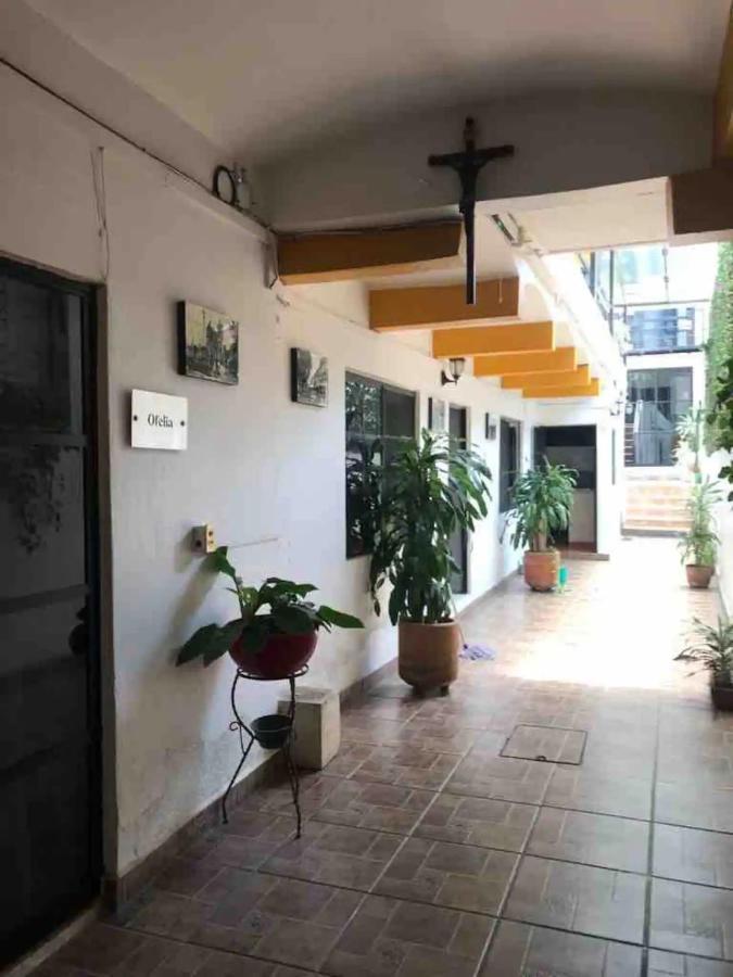 דירות Oaxaca Cute Apart Excellently Located מראה חיצוני תמונה